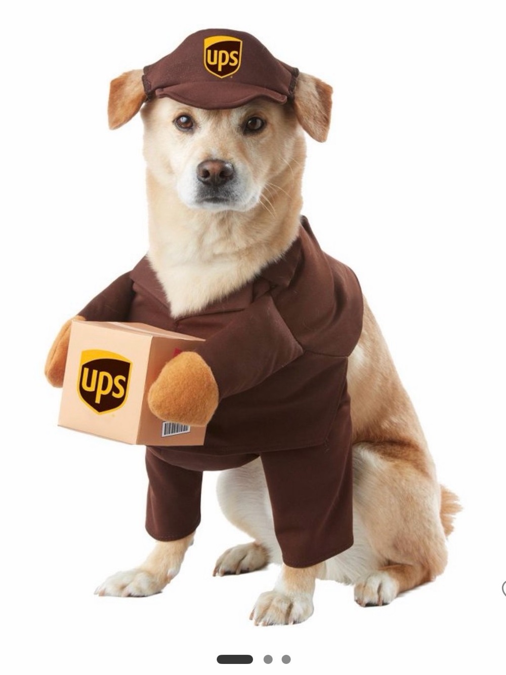 UPS Dog Delivery Halloween Costume Jacket & Hat sz Large